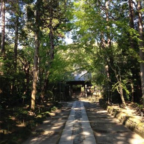 美しい寺と古き良き鎌倉の小道：寿福寺